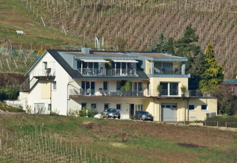 Ferienhaus Panorama Mosel ไรล์ ภายนอก รูปภาพ