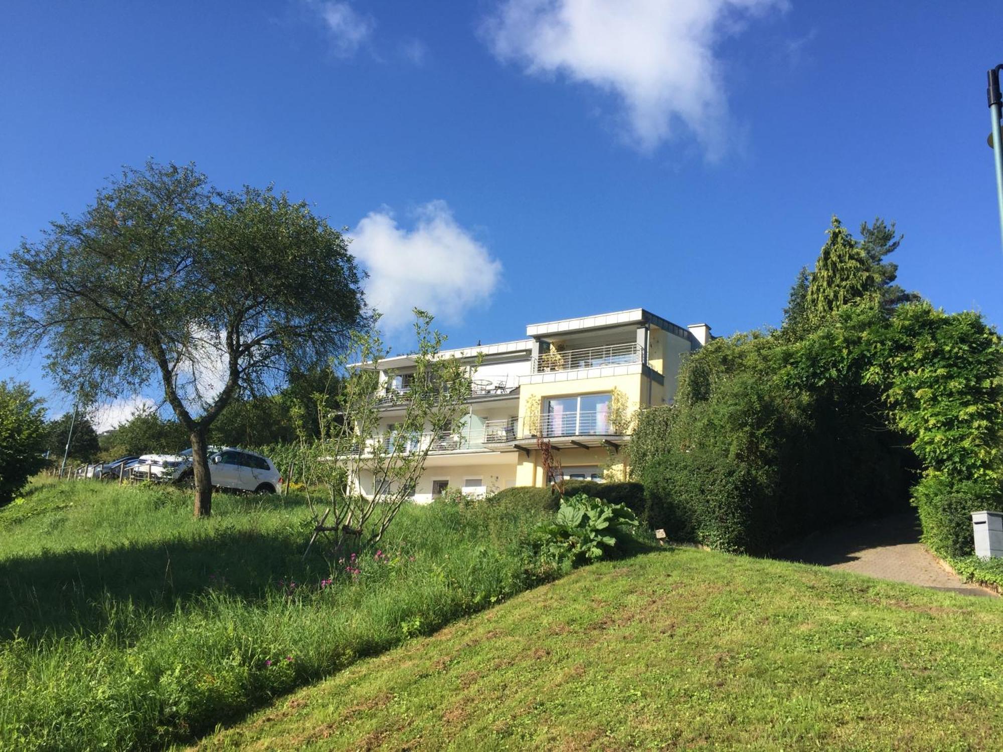 Ferienhaus Panorama Mosel ไรล์ ภายนอก รูปภาพ
